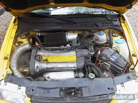 VW polo (gizmo) R.I.P billede 5