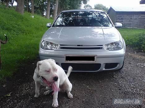 VW Golf IV *SOLGT* billede 10