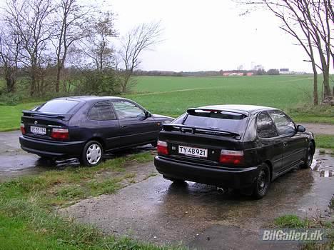 Toyota corolla champ billede 12