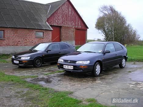 Toyota corolla champ billede 13