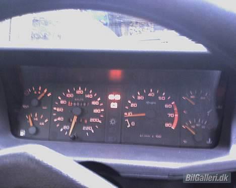 Peugeot 205 1.9 GTi billede 1