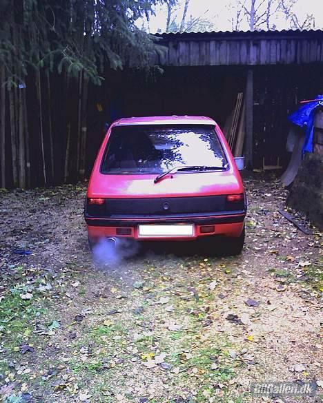 Peugeot 205 1.9 GTi billede 4