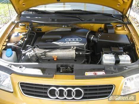 Audi A3 1.8T Attraction  SOLGT - Standart, fik dog aldrig taget et billede hvor der er monteret dump og luftfilter billede 2