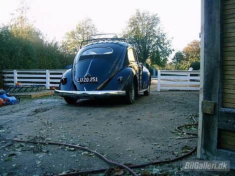 VW bobbel. solgt solgt billede 7