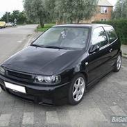 VW Polo 6N  -R.I.P.-