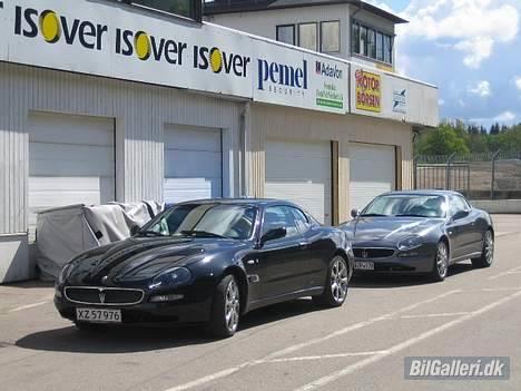 Maserati Coupé Cambiocorsa - Her kan man tydeligt se forskel på en Coupé (med 4,2 motor) og en 3200 GT (med 3,2 motor).  Coupé har en større bule i motorhjelmet og front konstruktionen er i ét stykke, mens 3200 GT´en har flere små stykker. billede 7