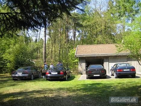 Maserati Coupé Cambiocorsa - Sammen med nogle Maserati venner i Nord Sjælland. billede 10