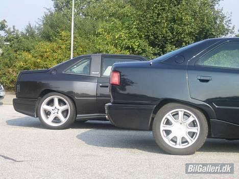 Maserati Shamal - Sammen men en Quattroporte, som også er tegnet af Gandini. billede 10