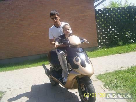 Rover 416 SI - MIN SONIC OG MIN BROR billede 11