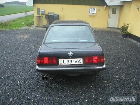 BMW 320I billede 11