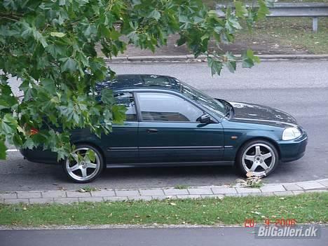 Honda Civic Coupe billede 1