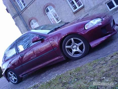 Honda civic (V- Max marts '07) - Mmm.. billede 2