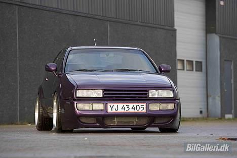 VW Corrado @ 417hk - Billed taget af Michael Holt/MaxPower billede 3