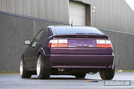 VW Corrado @ 417hk - Billed taget af Michael Holt/MaxPower billede 13