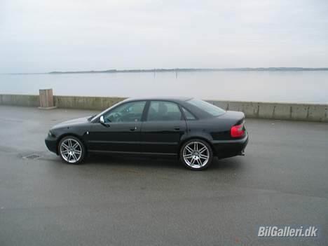 Audi A4 billede 2