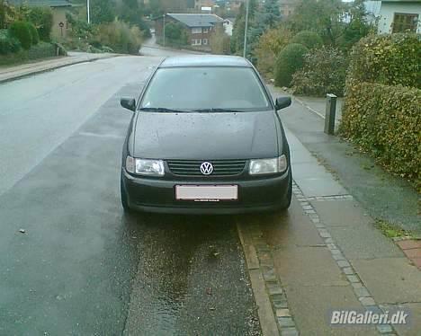 VW Polo 6n (Død) billede 2