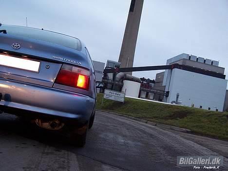 Toyota Corolla XLi   * SOLGT * billede 1