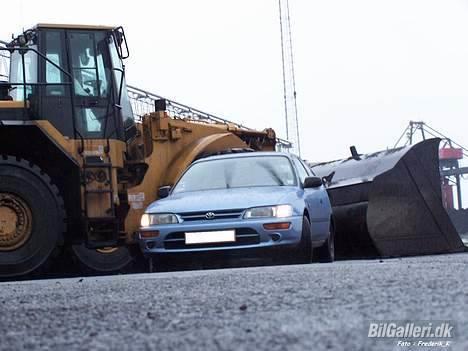 Toyota Corolla XLi   * SOLGT * billede 15