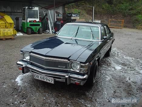 Buick skylark solgt billede 2