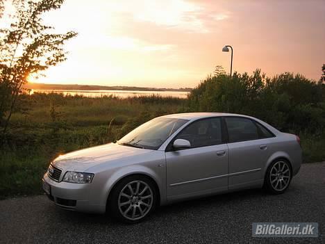 Audi A4 billede 12
