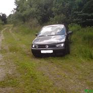 VW Golf IV  Trendline