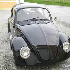 VW 113