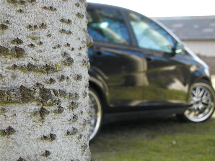 Seat Altea 170 FR  billede 14