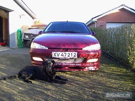 Peugeot 406 R.I.P. total skadet!! - Skulle lige ha et billede med af min Hund Bob billede 13