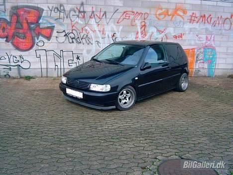 VW Polo 6N - Gangsta Polo :) billede 11