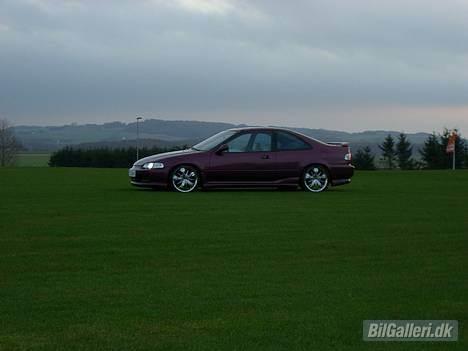 Honda Civic coupe (RIP) billede 6