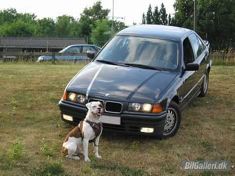 BMW 320I E36 Aut. billede 2