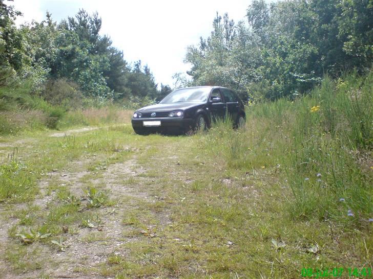 VW Golf IV  Trendline billede 5