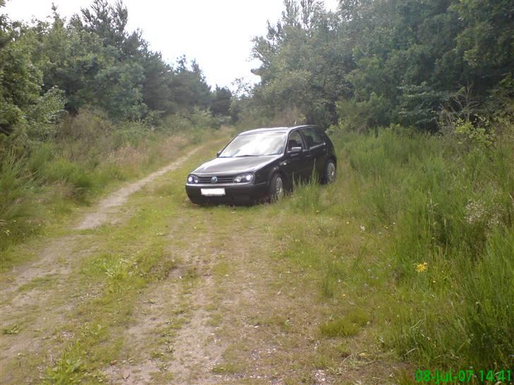 VW Golf IV  Trendline billede 7