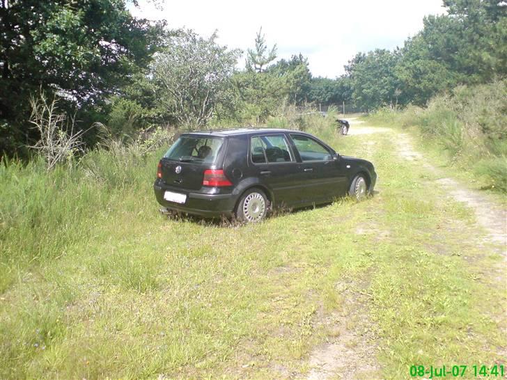 VW Golf IV  Trendline billede 8