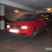 VW Polo SOLGT!