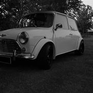 Austin-Morris Morris Mascot