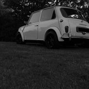 Austin-Morris Morris Mascot