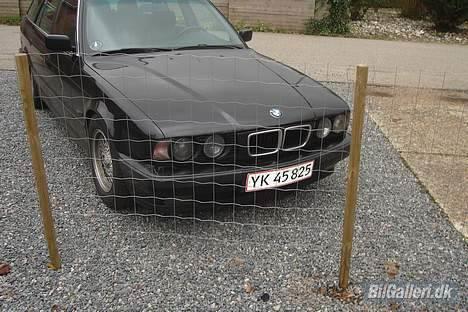 BMW 530i  billede 11