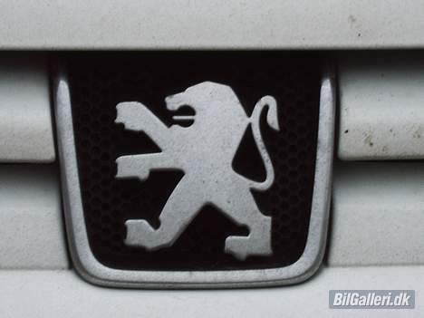 Peugeot 406 - Det flotteste franske billogo billede 12