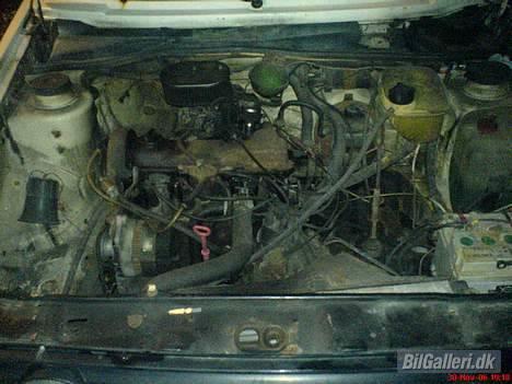 VW Golf 2 død ved kølle billede 2