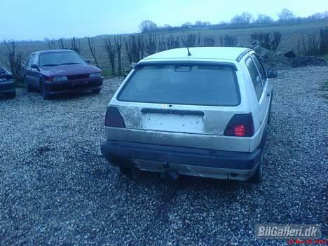 VW Golf 2 død ved kølle billede 5