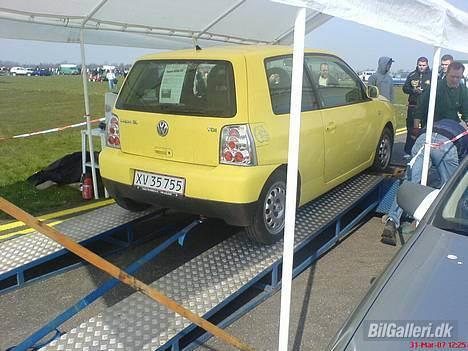 VW lupo 3L solgt - lupoe på rulle felt i holeby 30 marts 2007 billede 12