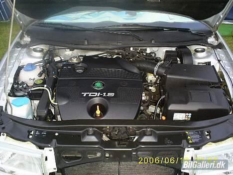 Skoda octavia - HER ER HURTIGHEDEN billede 5