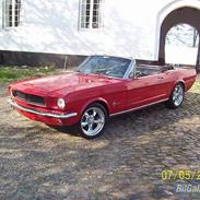 Amerikaner Ford Mustang Conv.