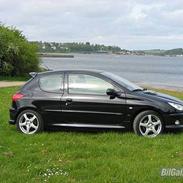 Peugeot 206 S16