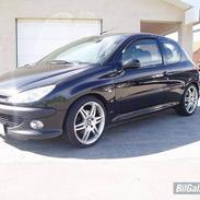 Peugeot 206 2.0 GTI R.I.P.