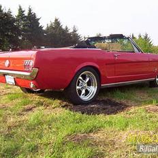 Amerikaner Ford Mustang Conv.
