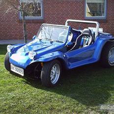 VW Buggy