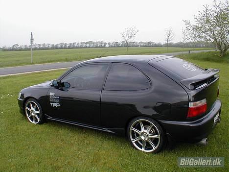 Toyota corolla gsi  - Så ledes ser han ud, så ledes køre han.. :o) billede 1