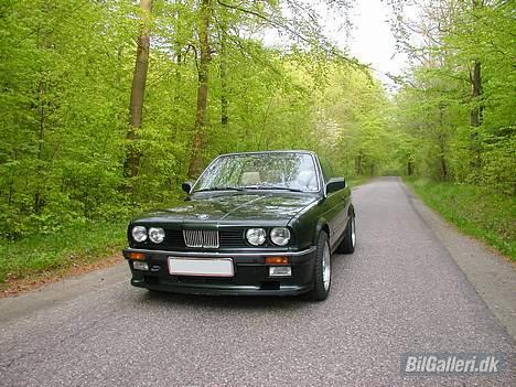 BMW 325i Cabriolet billede 8